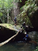 Enlarge photo 14