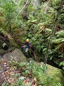 Enlarge photo 17