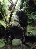 Enlarge photo 20