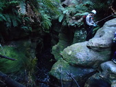 Enlarge photo 11
