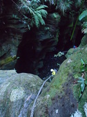 Enlarge photo 15