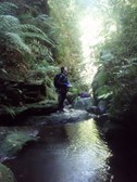 Enlarge photo 10