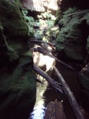 Enlarge photo 4