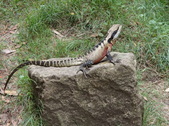 Enlarge photo 5