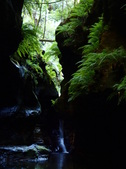 Enlarge photo 2