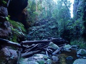 Enlarge photo 24