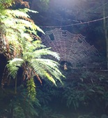 Enlarge photo 14