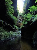 Enlarge photo 18