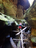 Enlarge photo 26