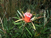 Enlarge photo 31