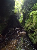 Enlarge photo 14