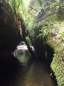 Enlarge photo 18