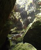 Enlarge photo 17