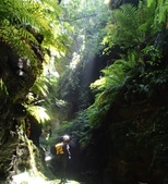Enlarge photo 23