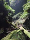 Enlarge photo 24
