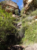 Enlarge photo 24
