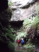 Enlarge photo 12