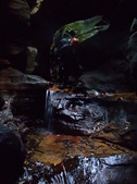 Enlarge photo 24