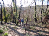 Enlarge photo 1