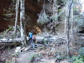Enlarge photo 20