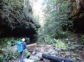 Enlarge photo 21