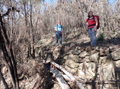 Enlarge photo 23