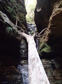 Enlarge photo 19