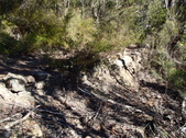 Enlarge photo 13