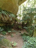 Enlarge photo 21
