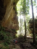 Enlarge photo 24