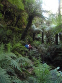 Lower North Bowens 05/12/2012