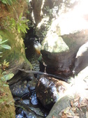 Enlarge photo 17