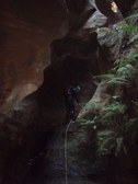 Enlarge photo 6