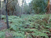 Enlarge photo 1