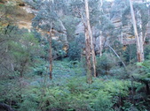Enlarge photo 2