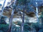 Enlarge photo 4