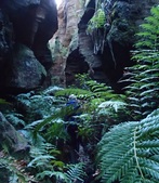 Enlarge photo 7