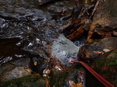 Enlarge photo 25