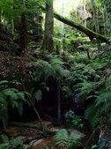 Enlarge photo 1
