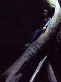 Enlarge photo 4