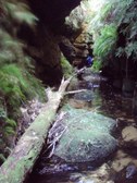 Enlarge photo 13