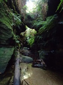 Enlarge photo 24