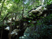 Enlarge photo 1