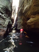 Enlarge photo 16