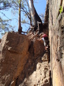 Enlarge photo 22