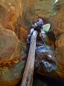 Enlarge photo 15