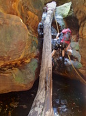 Enlarge photo 16