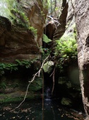 Enlarge photo 27