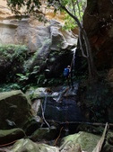 Enlarge photo 33