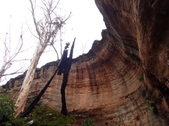 Enlarge photo 26